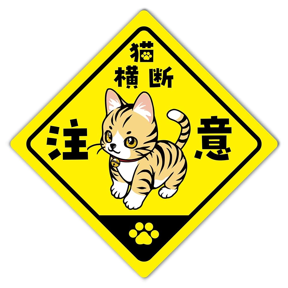ねこた　884335 サイドアクリル　引き出しタイプオプションお写真2枚目 ねこた様専用 884335 サイドアクリル 引き出しタイプオプション